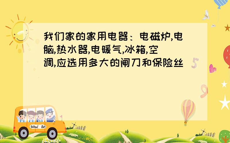 我们家的家用电器：电磁炉,电脑,热水器,电暖气,冰箱,空调,应选用多大的闸刀和保险丝