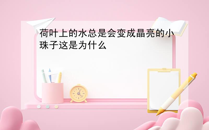 荷叶上的水总是会变成晶亮的小珠子这是为什么