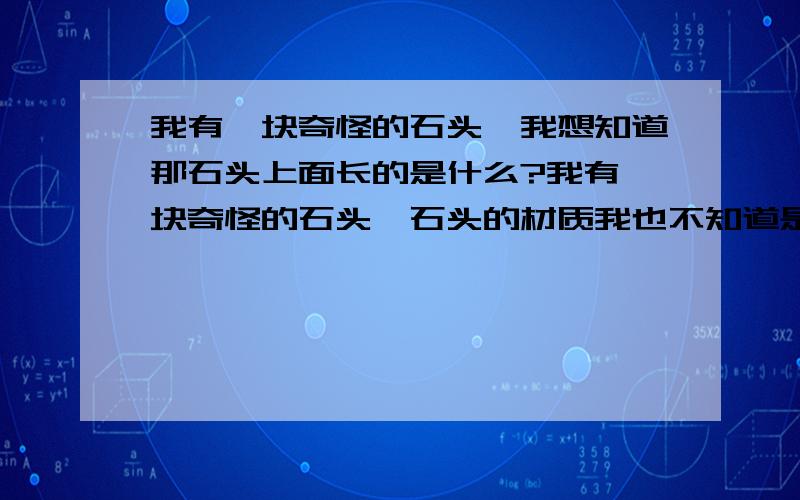 我有一块奇怪的石头,我想知道那石头上面长的是什么?我有一块奇怪的石头,石头的材质我也不知道是什么岩,是那种带点黑色很硬的岩石,岩石表面长满了很多一粒一粒的像钻石一样菱形透明