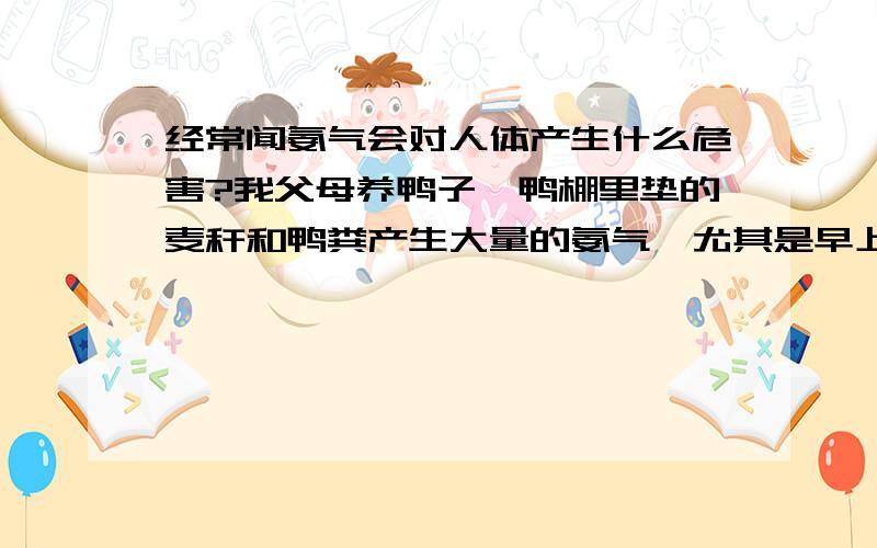 经常闻氨气会对人体产生什么危害?我父母养鸭子,鸭棚里垫的麦秆和鸭粪产生大量的氨气,尤其是早上进去拾鸭蛋都刺激鼻子,有什么办法可以降低氨气的产生?