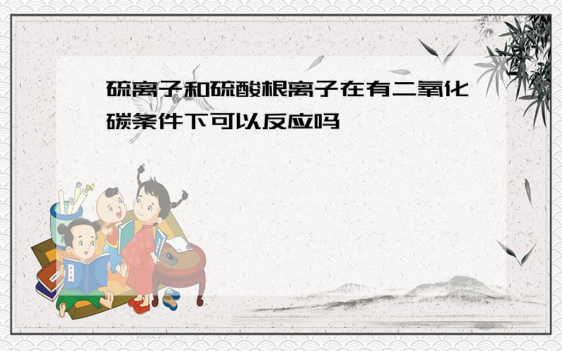 硫离子和硫酸根离子在有二氧化碳条件下可以反应吗