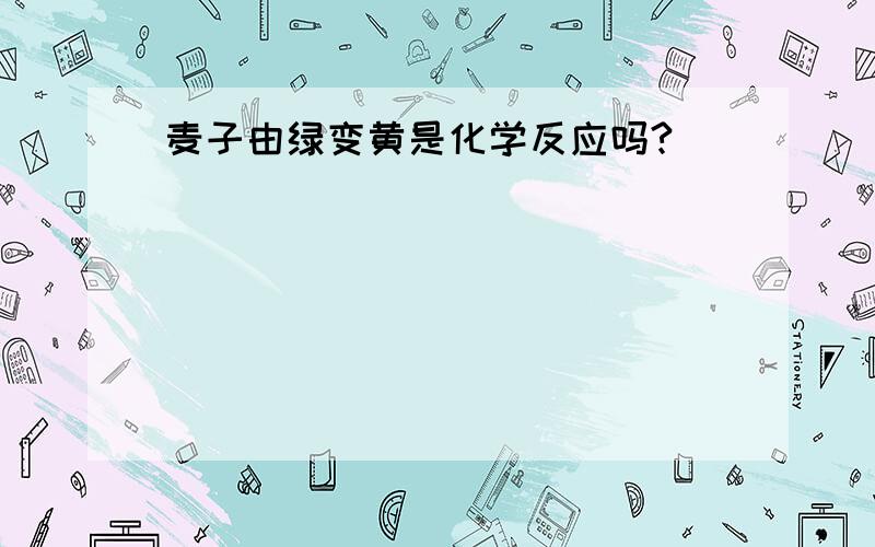 麦子由绿变黄是化学反应吗?