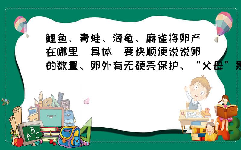 鲤鱼、青蛙、海龟、麻雀将卵产在哪里（具体）要快顺便说说卵的数量、卵外有无硬壳保护、“父母”是否帮助孵化和成活的情况