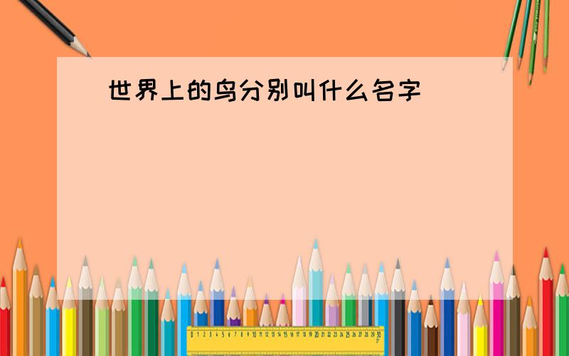 世界上的鸟分别叫什么名字