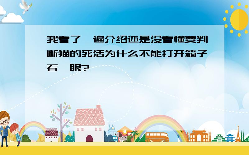 我看了一遍介绍还是没看懂要判断猫的死活为什么不能打开箱子看一眼?