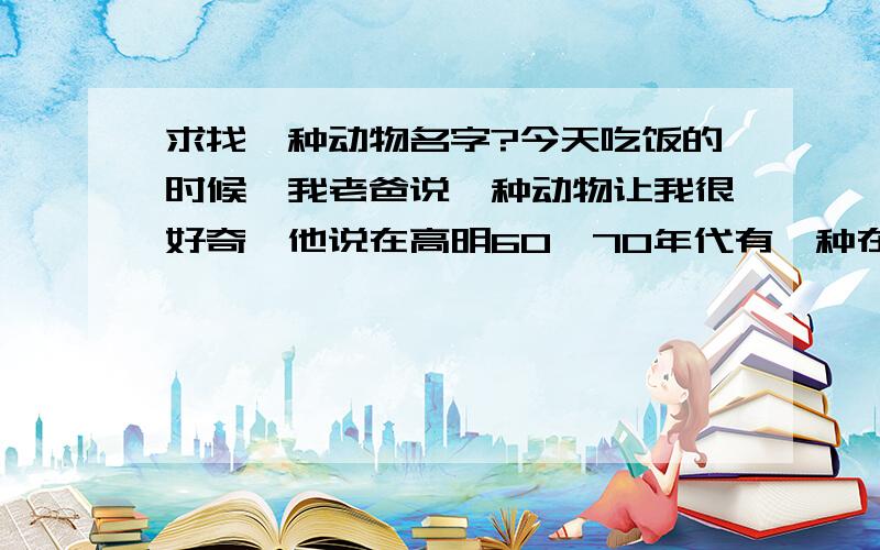 求找一种动物名字?今天吃饭的时候,我老爸说一种动物让我很好奇,他说在高明60,70年代有一种在山上的吃草动物,黄色的皮毛,头部像羊,不过没有角,最大的特点是前脚比后脚长,受惊后会团缩起