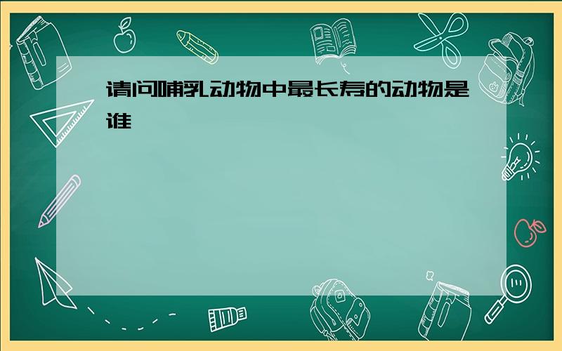 请问哺乳动物中最长寿的动物是谁