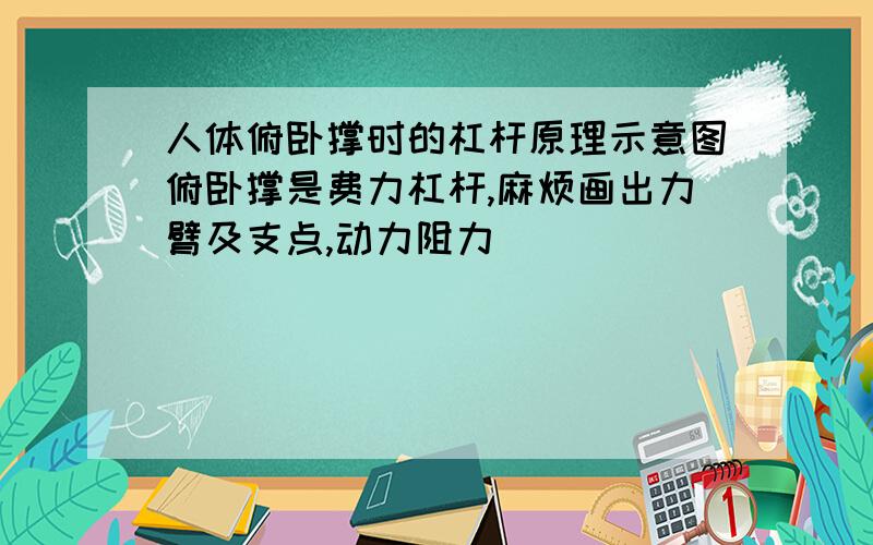 人体俯卧撑时的杠杆原理示意图俯卧撑是费力杠杆,麻烦画出力臂及支点,动力阻力