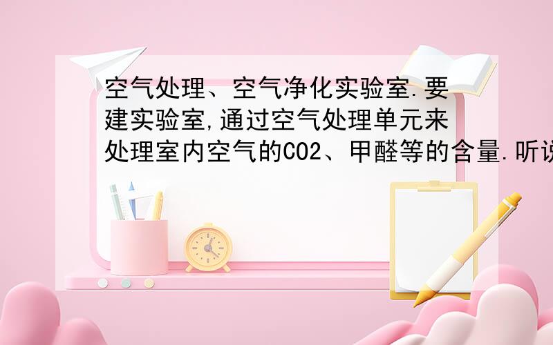 空气处理、空气净化实验室.要建实验室,通过空气处理单元来处理室内空气的CO2、甲醛等的含量.听说国标规定这类实验室的面积最小也要30m2,请有这方面经验的朋友提供一些标准、规范.