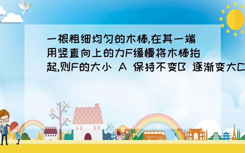 一根粗细均匀的木棒,在其一端用竖直向上的力F缓慢将木棒抬起,则F的大小 A 保持不变B 逐渐变大C 逐渐减少D 先减小后增大我想F越向上,动力臂越短,所以F由小变大,