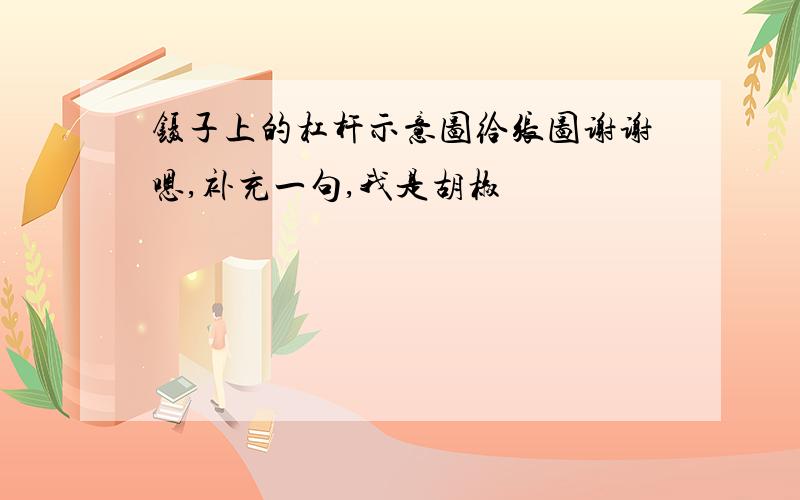 镊子上的杠杆示意图给张图谢谢嗯,补充一句,我是胡椒