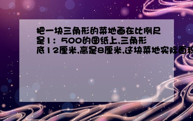 把一块三角形的菜地画在比例尺是1：500的图纸上,三角形底12厘米,高是8厘米,这块菜地实际面积是多少平方米?