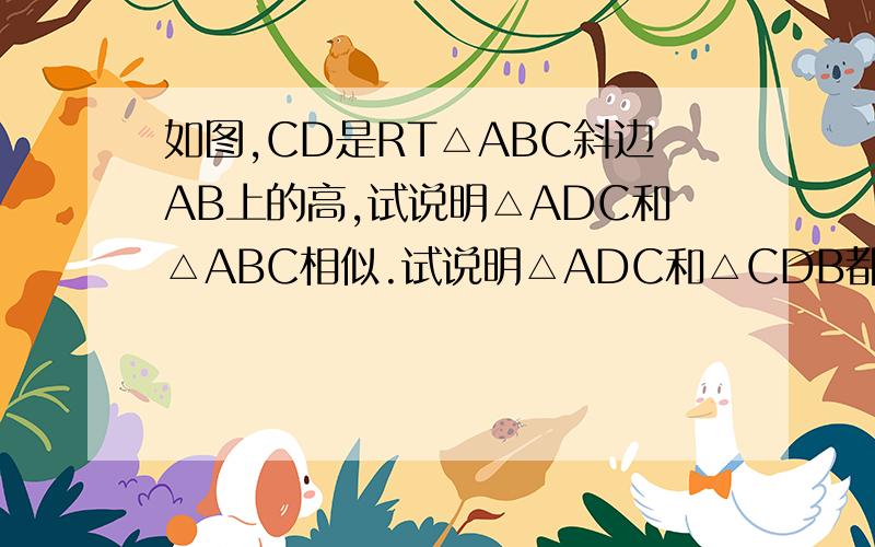 如图,CD是RT△ABC斜边AB上的高,试说明△ADC和△ABC相似.试说明△ADC和△CDB都与是△ABC相似