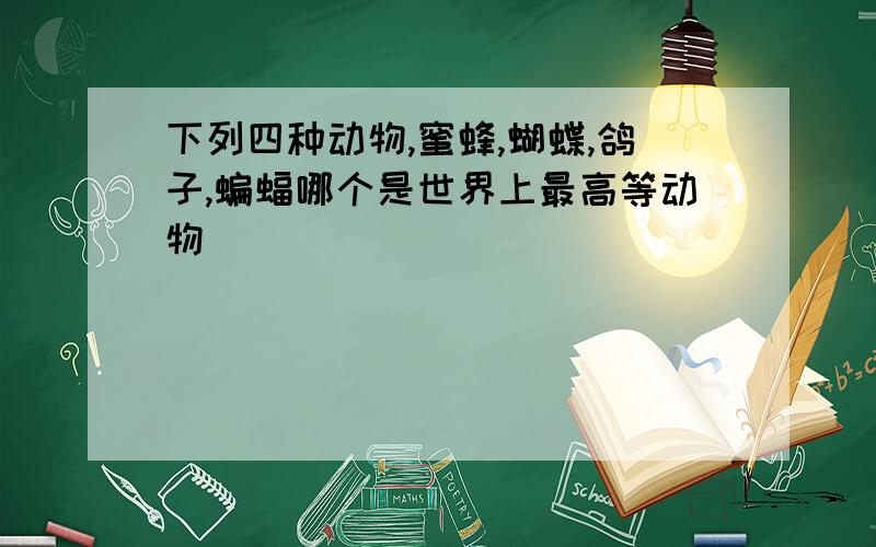 下列四种动物,蜜蜂,蝴蝶,鸽子,蝙蝠哪个是世界上最高等动物