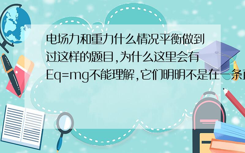 电场力和重力什么情况平衡做到过这样的题目,为什么这里会有Eq=mg不能理解,它们明明不是在一条直线啊,而且还有一个洛伦兹力.如图5. 质量为m、带电量为q的微粒以速度v与水平成45°角进入匀