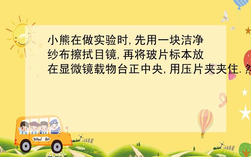 小熊在做实验时,先用一块洁净纱布擦拭目镜,再将玻片标本放在显微镜载物台正中央,用压片夹夹住.然后在双眼侧视下,将物镜下降.接着小熊用左眼朝目镜里观察,同时转动细准焦螺旋,缓缓上