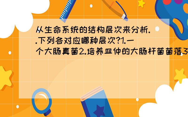 从生命系统的结构层次来分析..下列各对应哪种层次?1.一个大肠真菌2.培养皿仲的大肠杆菌菌落3.培养基被汚染后.除大肠杆菌外.又滋生暸别的细菌和真菌.