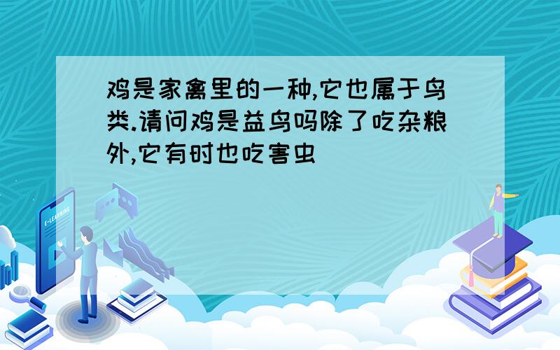 鸡是家禽里的一种,它也属于鸟类.请问鸡是益鸟吗除了吃杂粮外,它有时也吃害虫