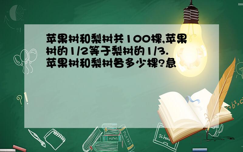 苹果树和梨树共100棵,苹果树的1/2等于梨树的1/3.苹果树和梨树各多少棵?急