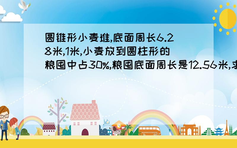 圆锥形小麦堆,底面周长6.28米,1米,小麦放到圆柱形的粮囤中占30%,粮囤底面周长是12.56米,求粮囤的如题所示,要有算式与算式过程【求粮囤的高】 除不尽的用分数，不能化成小数。