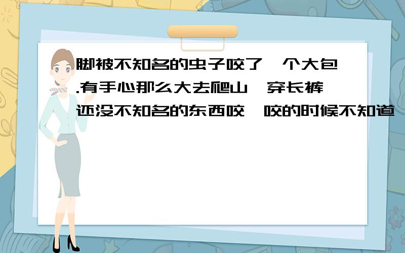 脚被不知名的虫子咬了一个大包.有手心那么大去爬山,穿长裤还没不知名的东西咬,咬的时候不知道,回来才发现肿了个超级大的包,现在很痒,我擦了皮炎平,