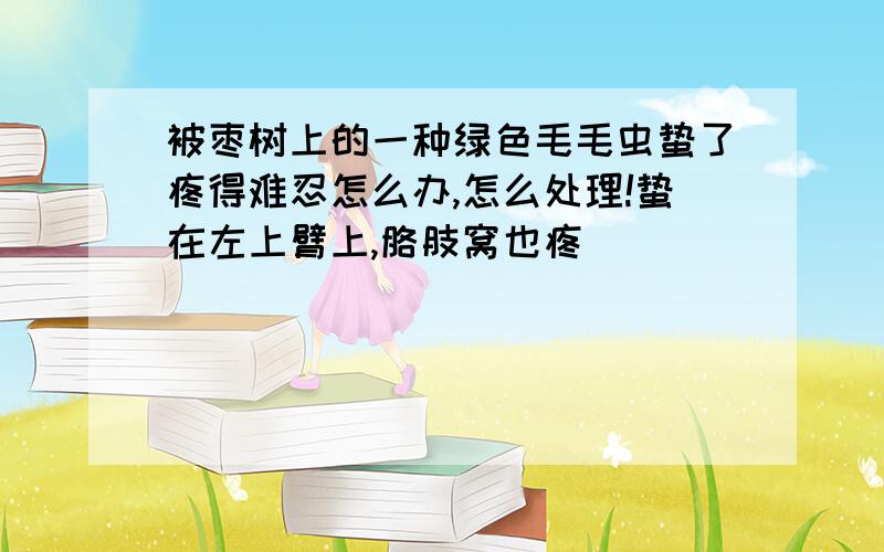 被枣树上的一种绿色毛毛虫蛰了疼得难忍怎么办,怎么处理!蛰在左上臂上,胳肢窝也疼