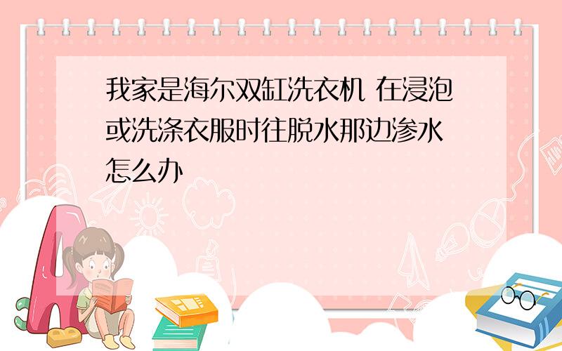 我家是海尔双缸洗衣机 在浸泡或洗涤衣服时往脱水那边渗水 怎么办