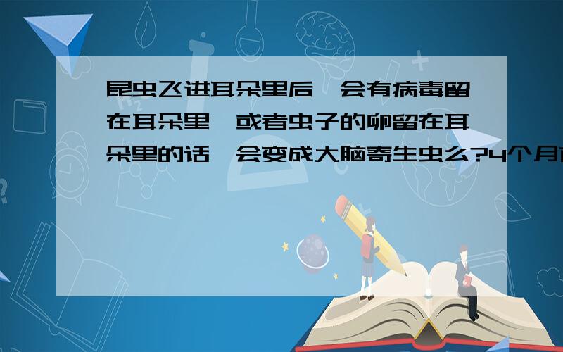 昆虫飞进耳朵里后,会有病毒留在耳朵里,或者虫子的卵留在耳朵里的话,会变成大脑寄生虫么?4个月前我去乡下的路上,一个硬壳虫子飞进我的耳朵里,涨的我耳朵非常痛,后来医生帮忙取了出来,