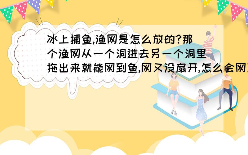 冰上捕鱼,渔网是怎么放的?那个渔网从一个洞进去另一个洞里拖出来就能网到鱼,网又没扇开,怎么会网到鱼呢?他是怎样把渔网放到冰下的呢?是在结冰前就放到水下留个线头,拖网的时候就直接