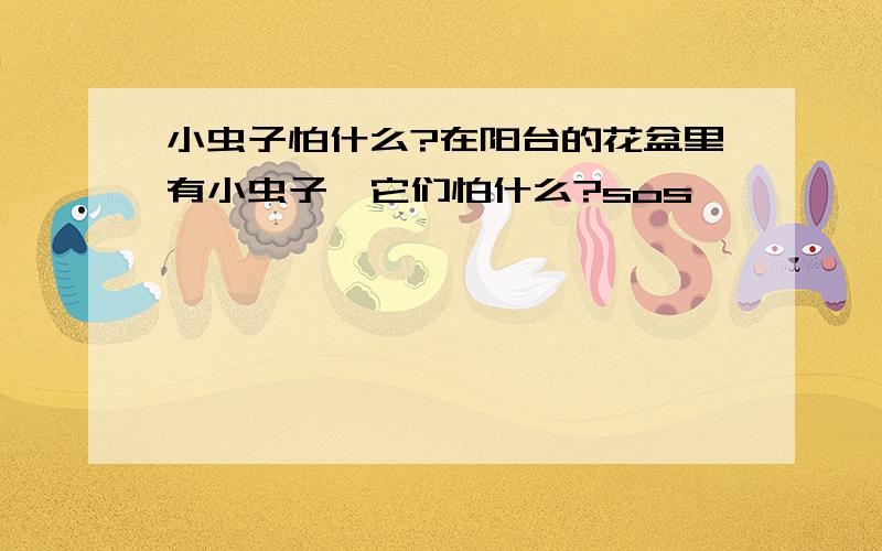 小虫子怕什么?在阳台的花盆里有小虫子,它们怕什么?sos