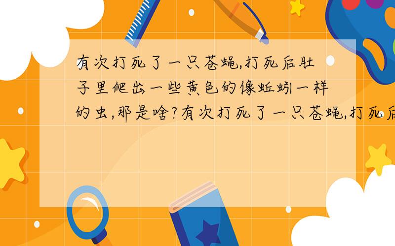 有次打死了一只苍蝇,打死后肚子里爬出一些黄色的像蚯蚓一样的虫,那是啥?有次打死了一只苍蝇,打死后苍蝇的肚子里爬出一些黄色的像蚯蚓一样的虫,那是啥?