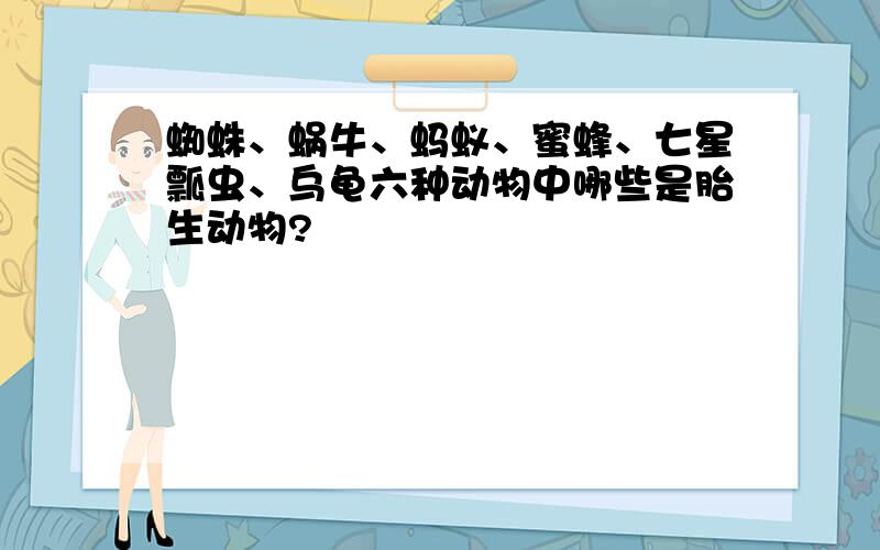 蜘蛛、蜗牛、蚂蚁、蜜蜂、七星瓢虫、乌龟六种动物中哪些是胎生动物?