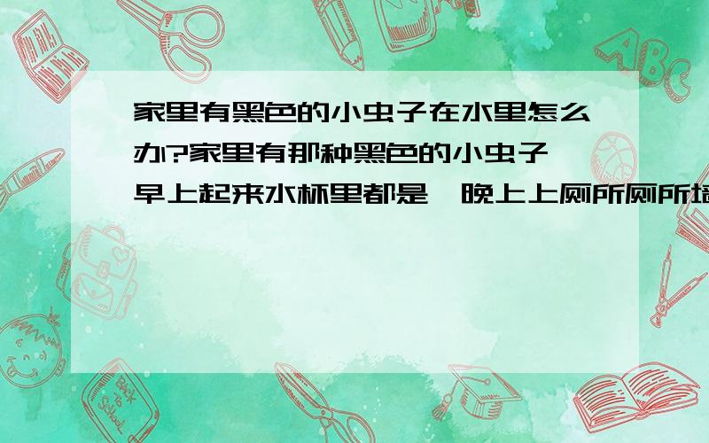 家里有黑色的小虫子在水里怎么办?家里有那种黑色的小虫子,早上起来水杯里都是,晚上上厕所厕所墙上地下也都是.厨房抹布底下,反正到处都是那种黑黑的小虫子?请问怎么消灭掉