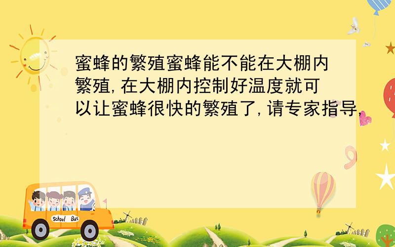 蜜蜂的繁殖蜜蜂能不能在大棚内繁殖,在大棚内控制好温度就可以让蜜蜂很快的繁殖了,请专家指导,