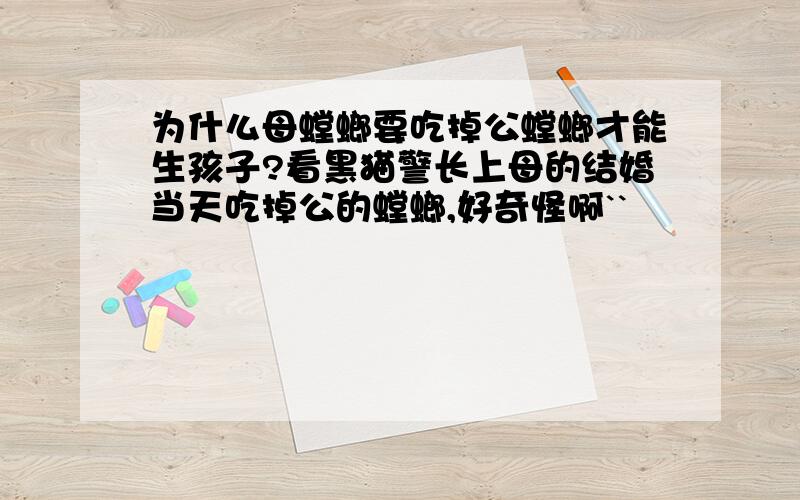 为什么母螳螂要吃掉公螳螂才能生孩子?看黑猫警长上母的结婚当天吃掉公的螳螂,好奇怪啊``