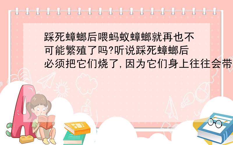 踩死蟑螂后喂蚂蚁蟑螂就再也不可能繁殖了吗?听说踩死蟑螂后必须把它们烧了,因为它们身上往往会带有很多卵,踩死了它们之后仍然会孵化.但是我发现我踩死的蟑螂都被蚂蚁吃的只剩翅膀了