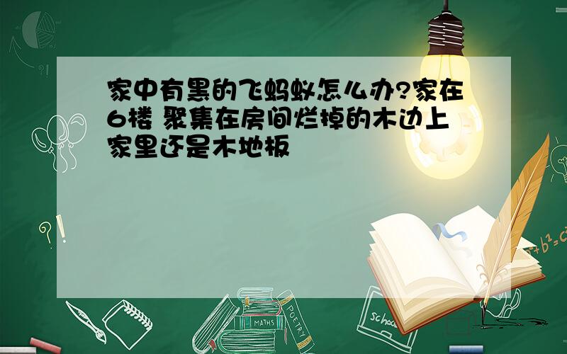 家中有黑的飞蚂蚁怎么办?家在6楼 聚集在房间烂掉的木边上家里还是木地板