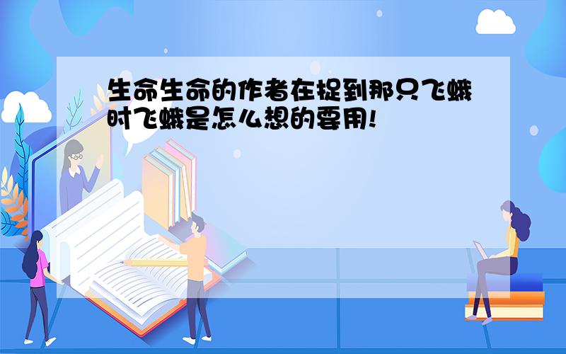 生命生命的作者在捉到那只飞蛾时飞蛾是怎么想的要用!