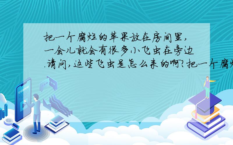 把一个腐烂的苹果放在房间里,一会儿就会有很多小飞虫在旁边.请问,这些飞虫是怎么来的啊?把一个腐烂的苹果放在房间垃圾桶里,一会儿就会有很多小飞虫在旁边.请问,这些飞虫是怎么来的啊