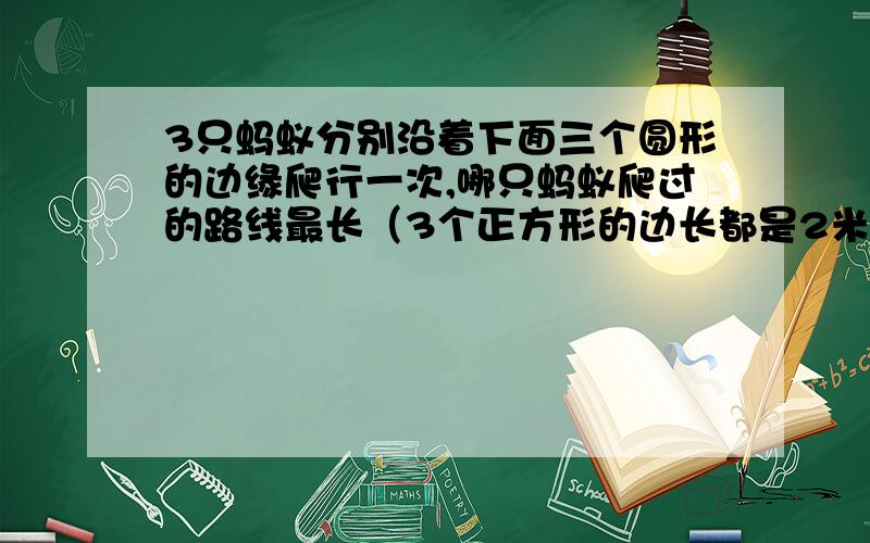 3只蚂蚁分别沿着下面三个圆形的边缘爬行一次,哪只蚂蚁爬过的路线最长（3个正方形的边长都是2米）,