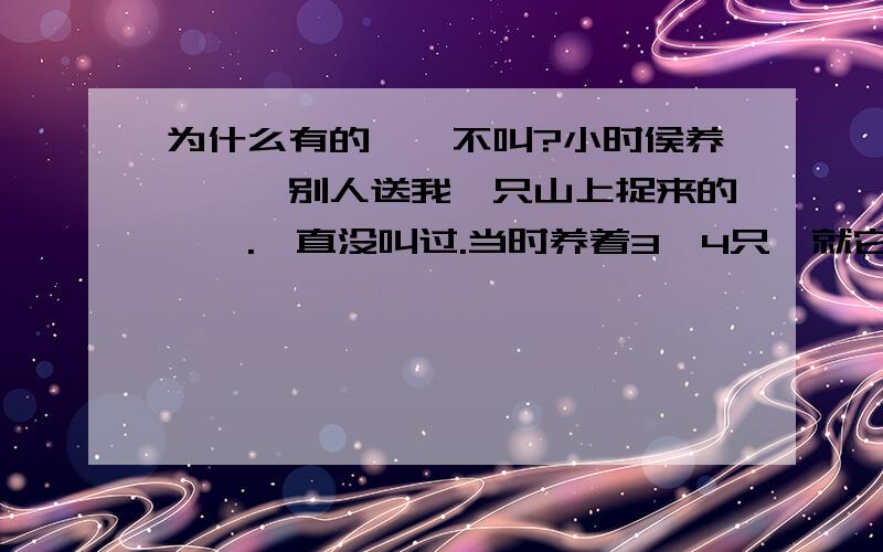 为什么有的蝈蝈不叫?小时侯养蝈蝈,别人送我一只山上捉来的蝈蝈.一直没叫过.当时养着3、4只,就它一声不叫.30多年过去了,一直纳闷.各位遇到过同样情况吗?我很奇怪它是怎么被捉到的.