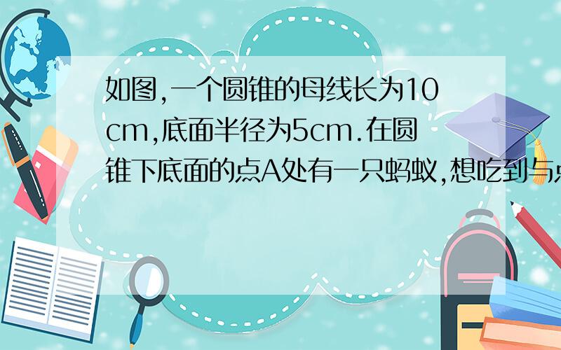 如图,一个圆锥的母线长为10cm,底面半径为5cm.在圆锥下底面的点A处有一只蚂蚁,想吃到与点A相对的母线的中点B处的一粒黏住的砂糖,这只蚂蚁从点A出发,沿着曲面爬到点B,最短路线是多长?