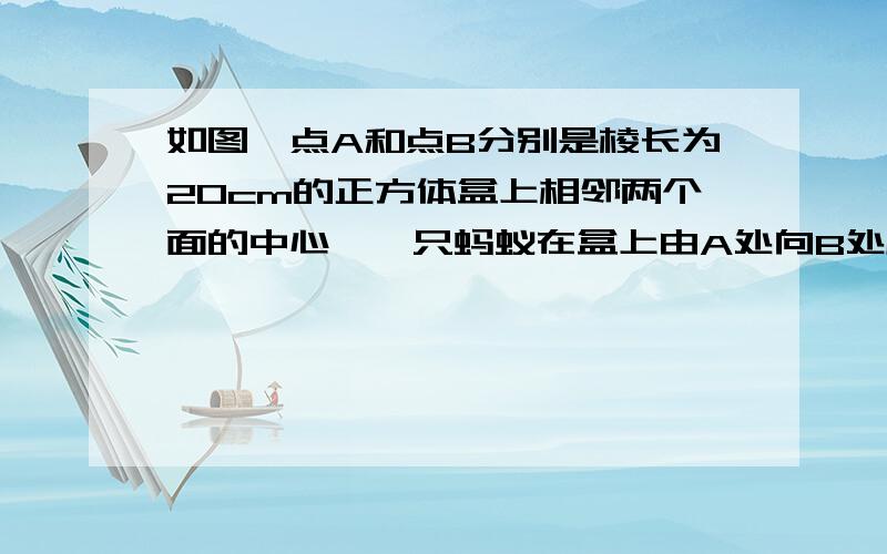 如图,点A和点B分别是棱长为20cm的正方体盒上相邻两个面的中心,一只蚂蚁在盒上由A处向B处爬行,它所走的最短路程是多少?