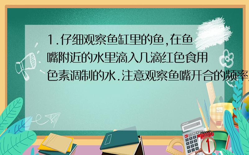 1.仔细观察鱼缸里的鱼,在鱼嘴附近的水里滴入几滴红色食用色素调制的水.注意观察鱼嘴开合的频率及水流通过鱼鳃的过程.2.注意观察鱼头两侧的鳃盖开合的过程.3.观察通一时刻鱼嘴和鳃盖的