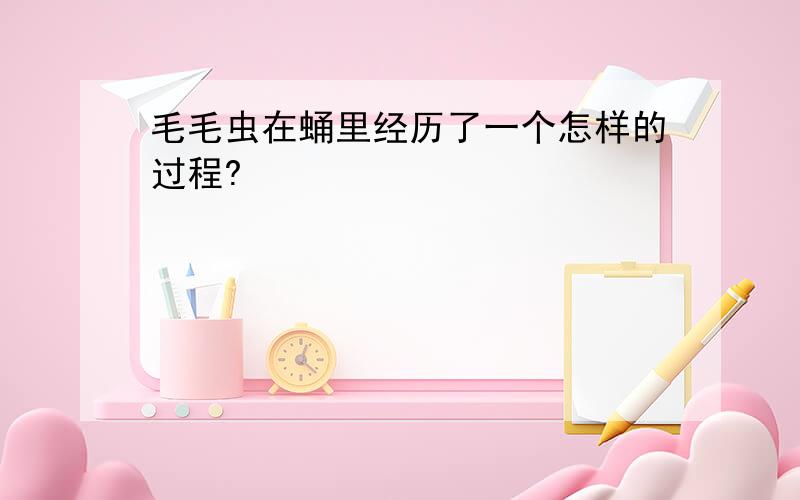 毛毛虫在蛹里经历了一个怎样的过程?