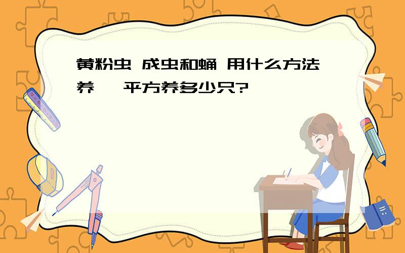 黄粉虫 成虫和蛹 用什么方法养 一平方养多少只?