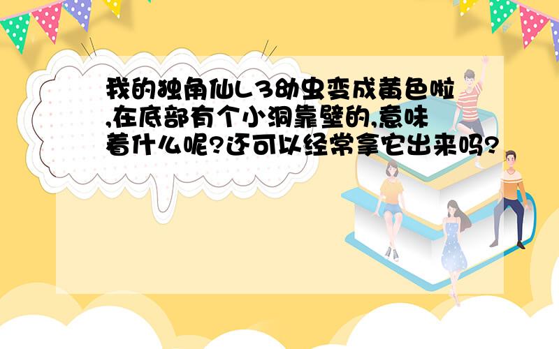 我的独角仙L3幼虫变成黄色啦,在底部有个小洞靠壁的,意味着什么呢?还可以经常拿它出来吗?