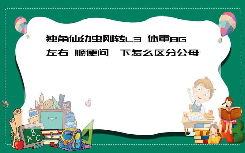 独角仙幼虫刚转L3 体重8G左右 顺便问一下怎么区分公母