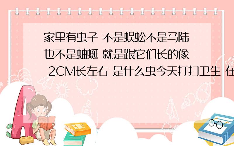 家里有虫子 不是蜈蚣不是马陆也不是蚰蜒 就是跟它们长的像 2CM长左右 是什么虫今天打扫卫生 在卫生间里发现了一个 我喷了杀虫剂 它就卷成圆圈死了 比蜈蚣短 大概2CM左右长 脚没有蚰蜒那