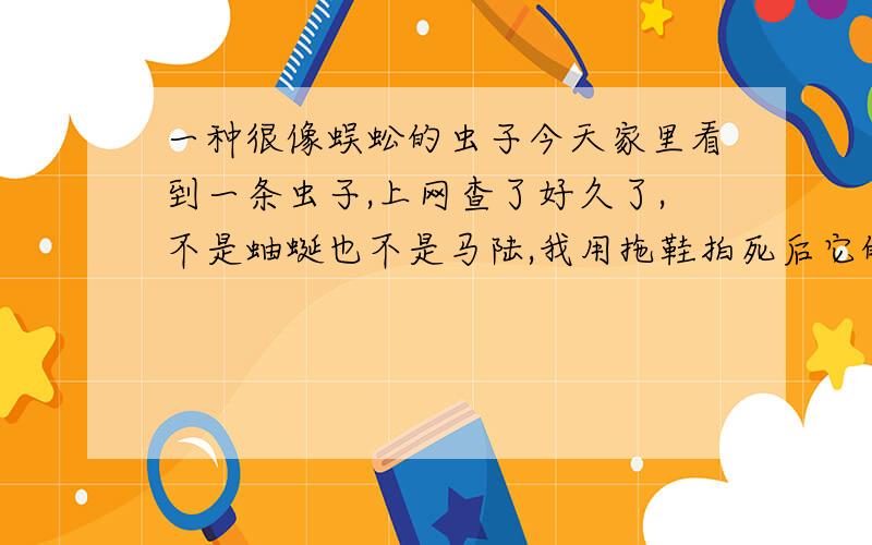 一种很像蜈蚣的虫子今天家里看到一条虫子,上网查了好久了,不是蚰蜒也不是马陆,我用拖鞋拍死后它的脚（很多只脚,像蜈蚣一样）都变成了蓝色,帮我查查是什么虫大概5厘米长绝对不是马陆